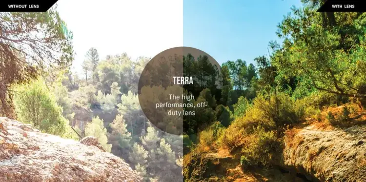 Revo Sage Sunglasses - Tortoise/Terra