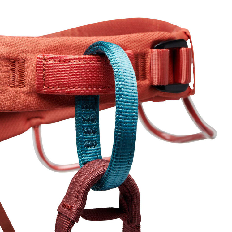 Black Diamond Women's Momentum Harness