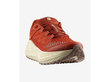 Salomon Women's Aero Glide 3 GRVL Running Shoe