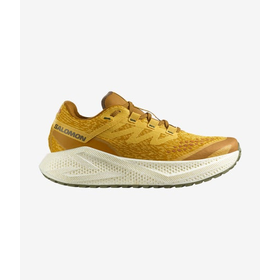 Salomon Men's Aero Glide 3 GRVL Running Shoe