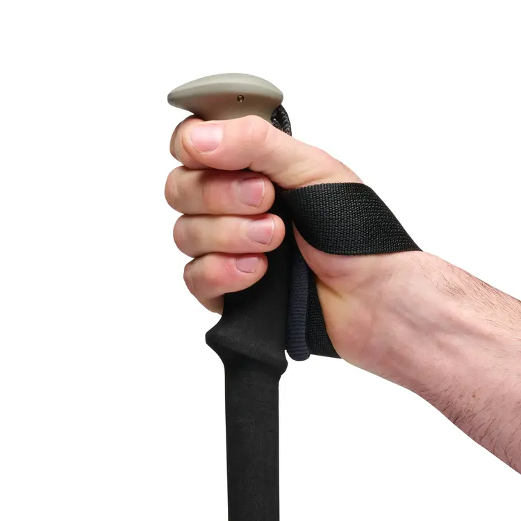 Black Diamond Trail Trekking Poles