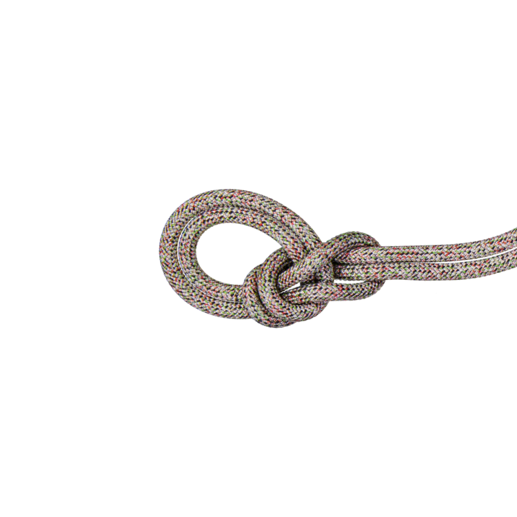 Mammut 9.5 Crag We Care Classic Rope