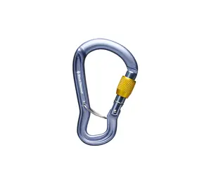 Gridlock Screwgate Carabiner - Alpenglow Adventure Sports