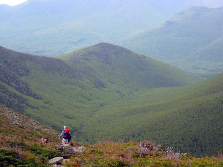 Map Adventures White Mountains Waterproof Trail Map