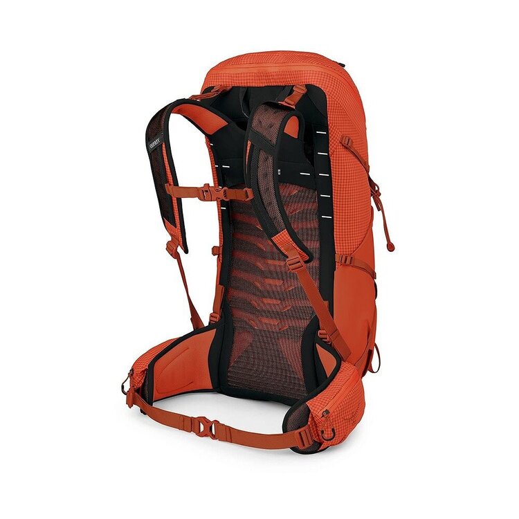 Osprey Talon  Pro 30