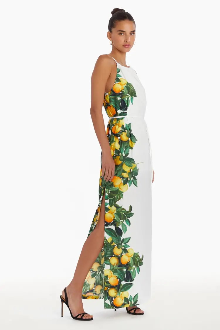 AMANDA UPRICHARD Alicanta maxi