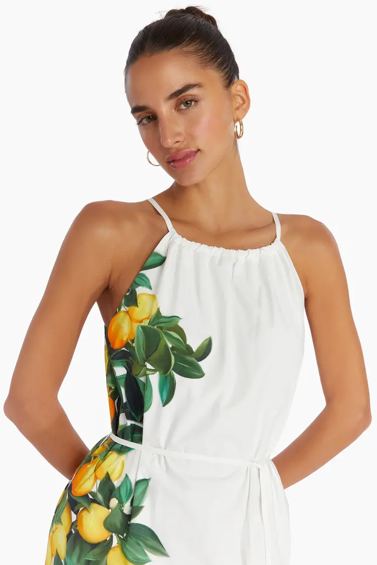 AMANDA UPRICHARD Alicanta maxi