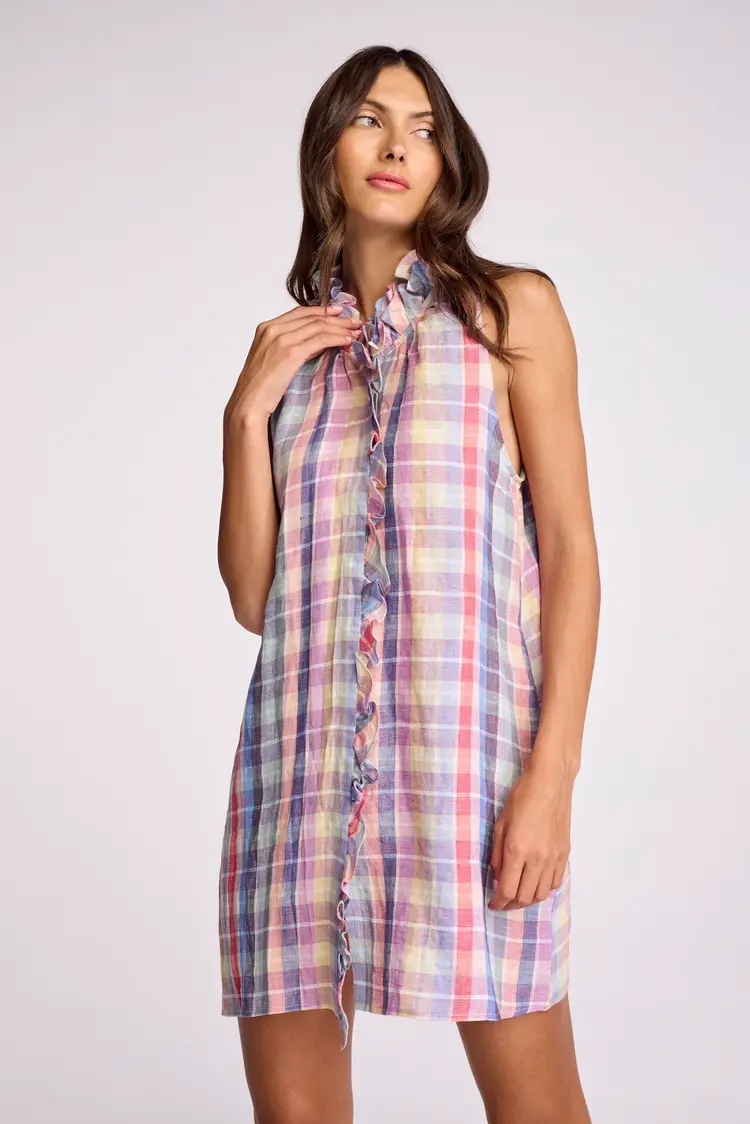 25-14-216 plaid gaelle dress