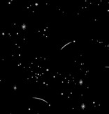 FIGO Lucky Charm by Ghazal Razavi Shooting Star Black