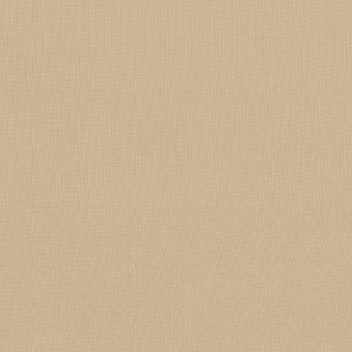Robert Kaufman Kona Cotton Straw