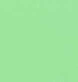 Robert Kaufman Kona Cotton Parakeet