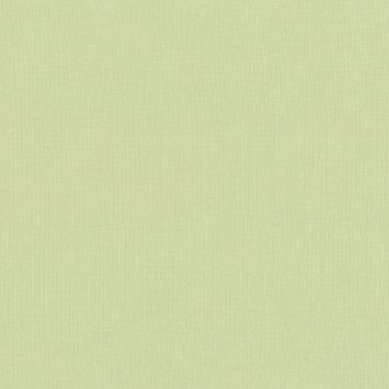 Robert Kaufman Kona Cotton Eucalyptus