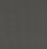 Shannon Fabrics Cuddle Solid Ash