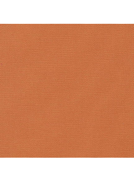 Robert Kaufman Big Sur Canvas Veggie Orange