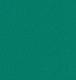 Robert Kaufman Kona Cotton COTY 2020 Enchanted