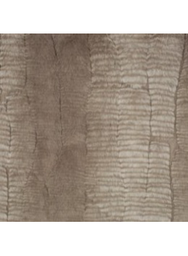 Shannon Fabrics Luxe Cuddle Dune Stone