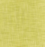 Robert Kaufman Manchester Kiwi