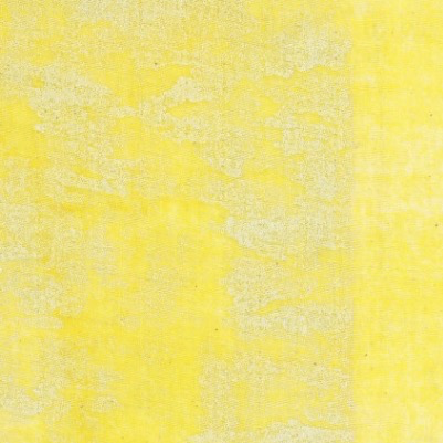 EE Schenck Nani Iro Double Gauze: Pipple Yellow