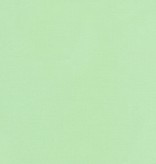 Robert Kaufman Kona Cotton Mint