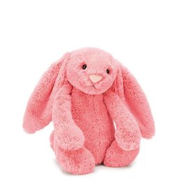 bashful truffle bunny