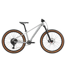 Giant Giant STP 26  Medium/regular Quicksilver