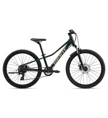 Giant Giant Talon 24 Disc Trekking Green
