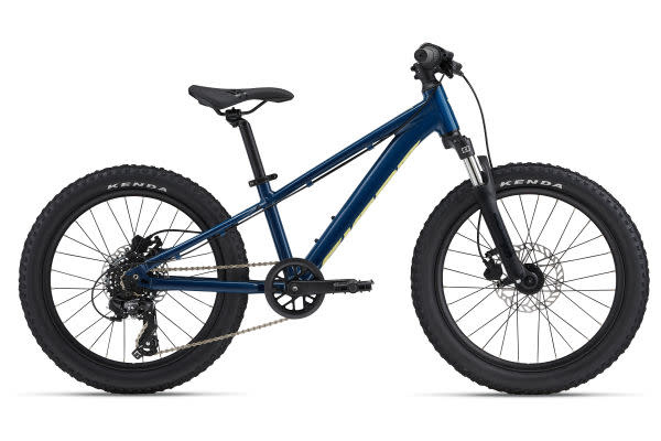 Giant STP 20 FS Blue Palace
