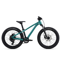 Giant Giant STP 20 FS Teal