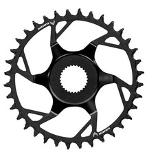 SRAM E Chainring, SRAM T-TYPE Bosch-DU38 36T Steel