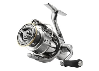 Spinning Reels