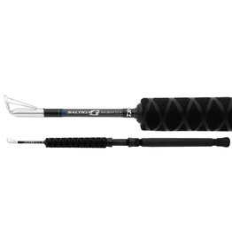 Daiwa Daiwa SAG28H-KT Saltiga  Kite Rod
