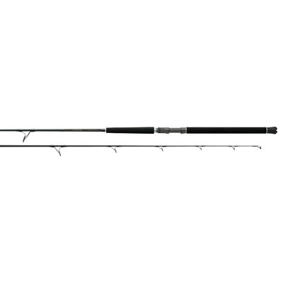 Daiwa Daiwa PTB80HFS Proteus Saltwater Spinning 80H 50-100# Braid