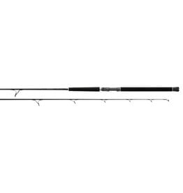 Daiwa Daiwa PTB76HFS Proteus Saltwater Spinning 76H 50-100# Briad