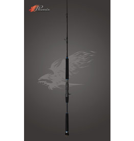 Phenix Rods Phenix Megaladon MPX-609-C Jigging – Casting