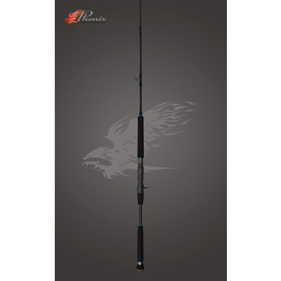 Phenix Rods Phenix Megaladon MPX-609-C Jigging – Casting