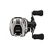 Daiwa Daiwa ZLNSVG100H Zillion SV TW G 100H  7.1:1 = 29.7 in