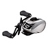 Daiwa Daiwa ZLNSVG100H Zillion SV TW G 100H  7.1:1 = 29.7 in