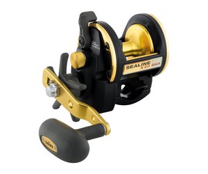 Daiwa SL-X20SHA Sealine-X 20SHA - Angler's Choice Tackle