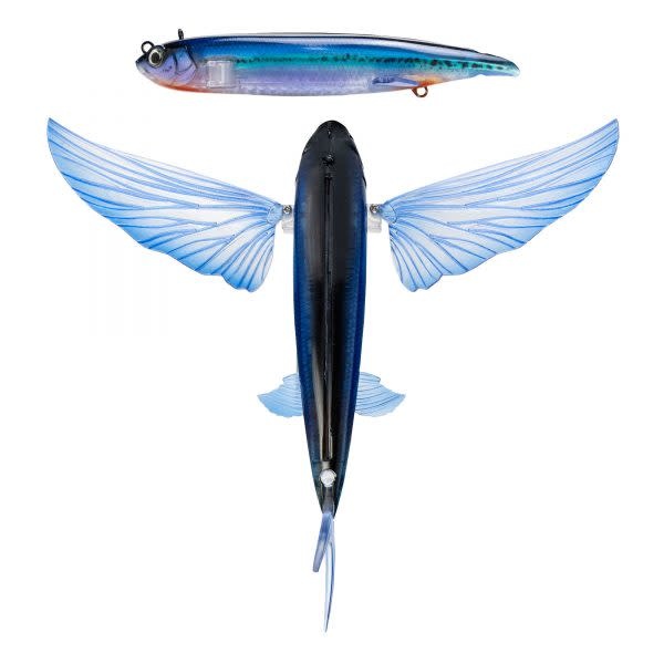 Nomad Design Slipstream Flying Fish 280. Color: Electric