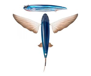 Nomad FF280-FP-OC Slipstream Flying Fish 280 Oceanic - Angler's Choice  Tackle