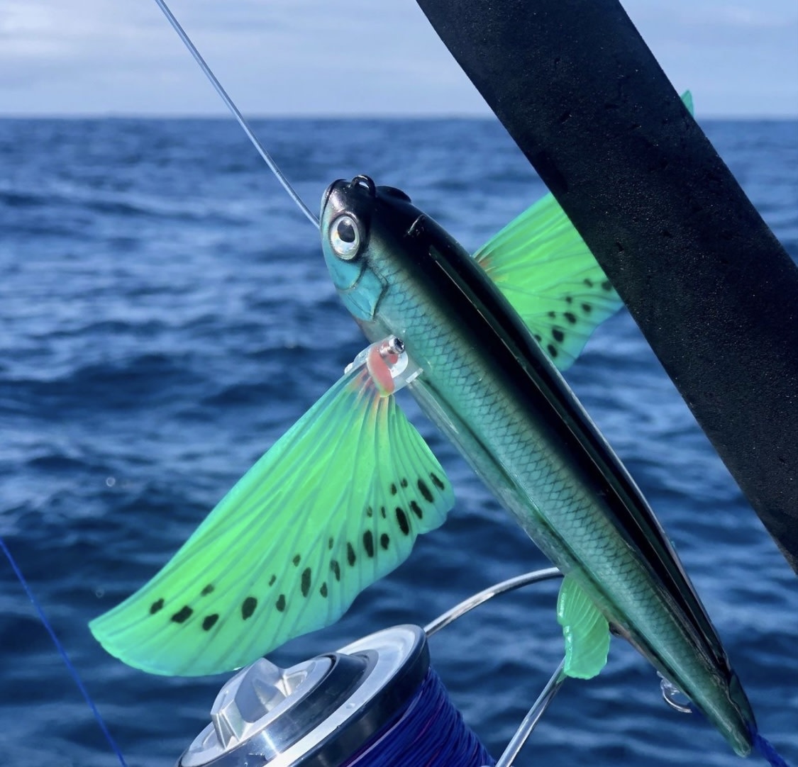 Nomad Slipstream Flying Fish - Angler's Choice Tackle