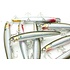 Lucky Craft Lucky Craft SW-FM110 Saltwater Flash Minnow