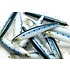 Lucky Craft Lucky Craft SW-FM110 Saltwater Flash Minnow
