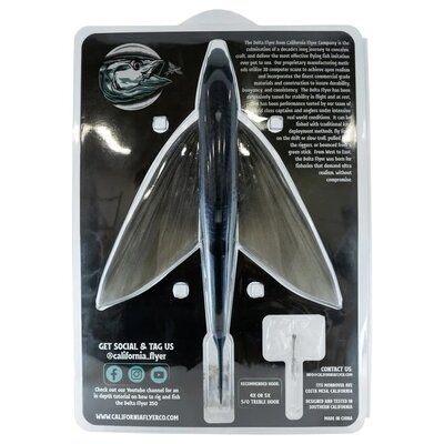 California Flyer California Flyer Delta Flyer 350