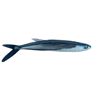 California Flyer California Flyer Delta Flyer 350