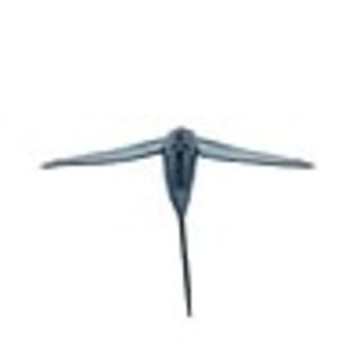 California Flyer California Flyer Delta Flyer 350