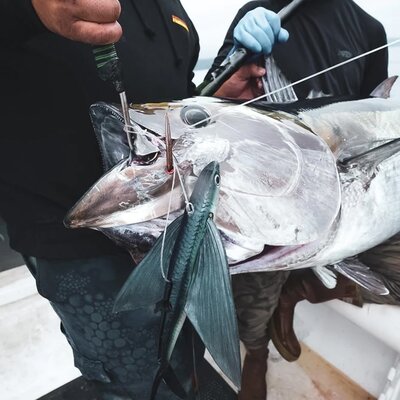 California Flyer California Flyer Delta Flyer 350