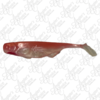 MC Swimbait Weedless Finesse 3in Swimmer Ghost Shrimp