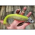 Coolbaits Lure Co Coolbaits DU8RS Underspin Head 8oz Raw