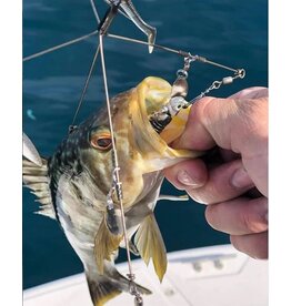 Coolbaits Lure Co Coolbaits A-Rig Regular 3 Umbrella Rig Silver Blades